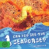 Can You See the Seahorse?