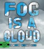 Fog Is A Cloud