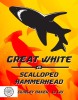 Great White Vs. Hammerhead