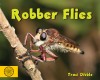 Robber Flies