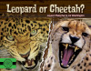 Leopard or Cheetah?