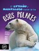 El extraño y maravilloso mundo de los osos polares