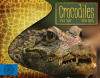 Crocodiles