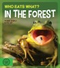 Who Eats What? — In the Forest
