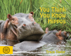 You Think You Know Hippos