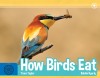 How Birds Eat
