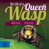 The Life of a Queen Wasp