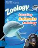 Amazing Animals Anthology