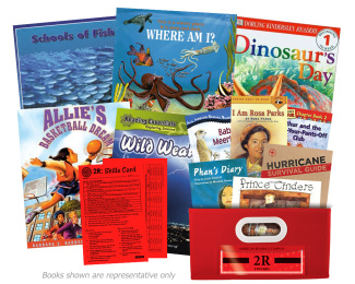 2R Basket of 30 Books