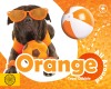 Orange All Around